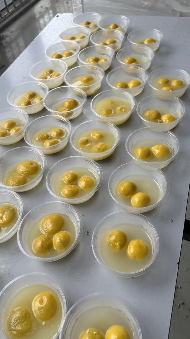 Lễ hội đèn lồng mang đến sự đoàn tụ ấm áp gia đình cho người dân SHUAIRUI